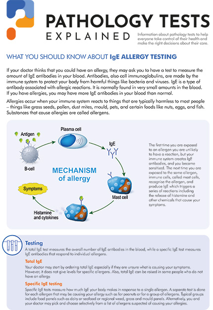 IgE allergy testing 